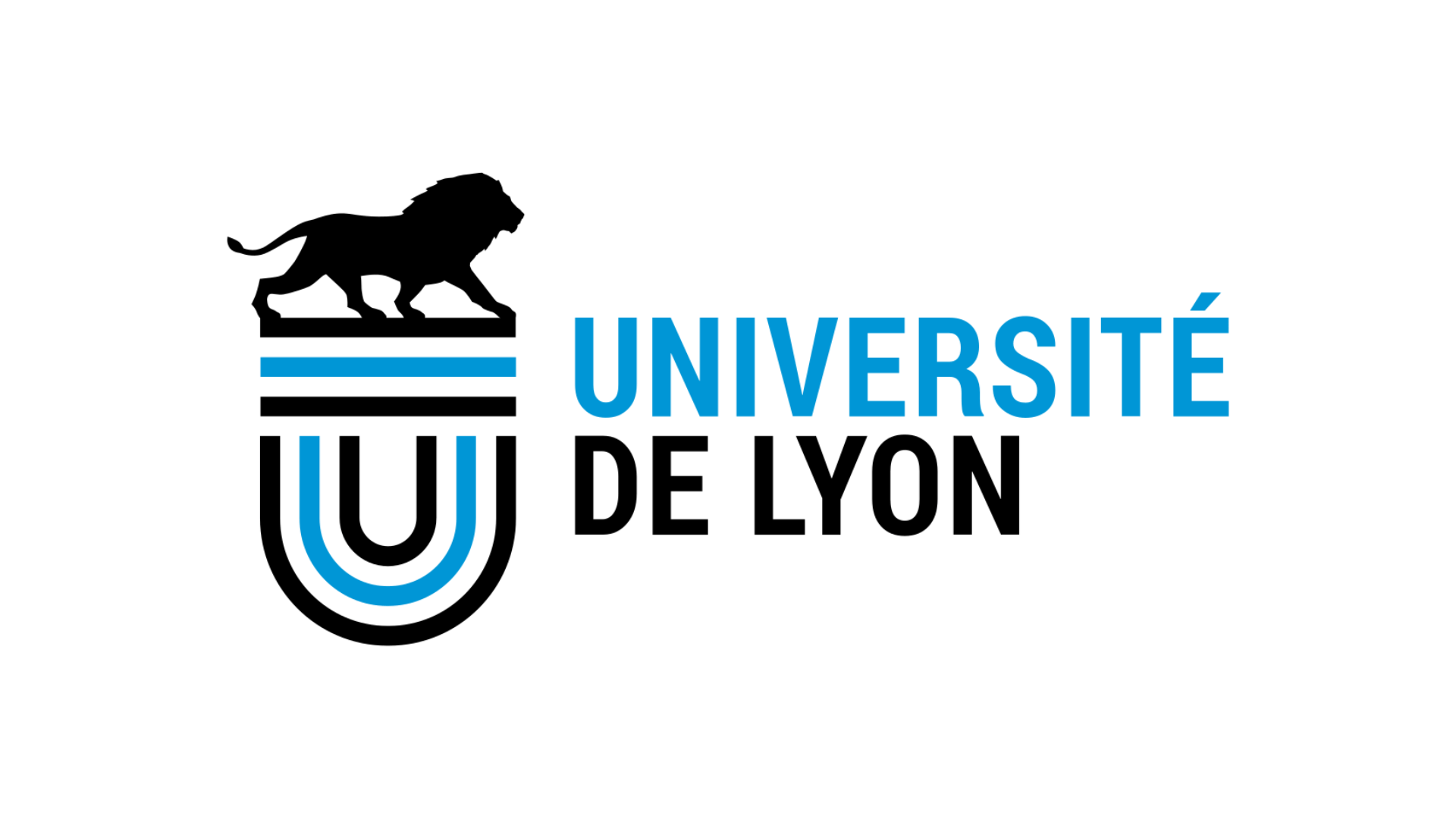 Université de Lyon