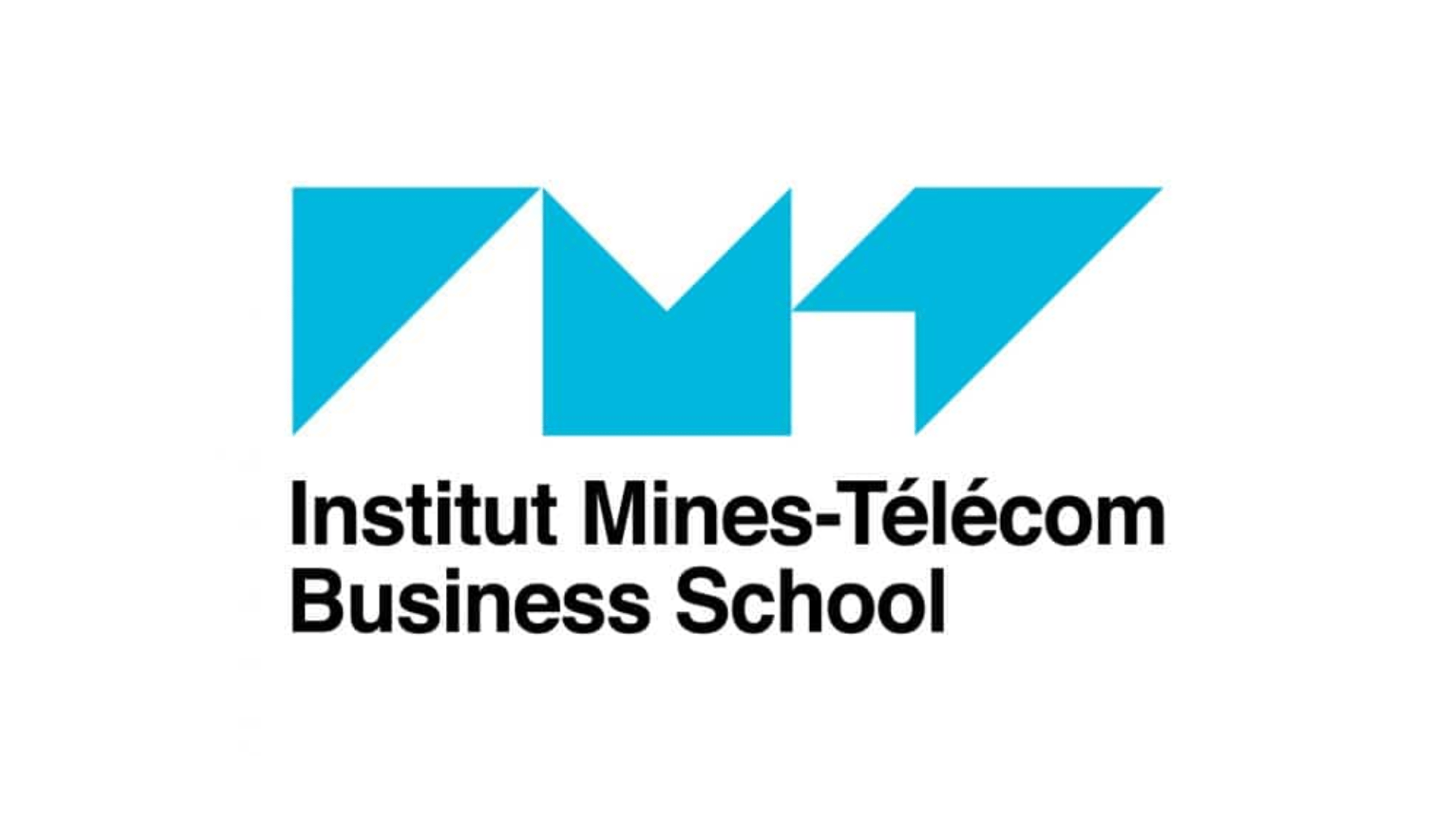 IMT-BS
