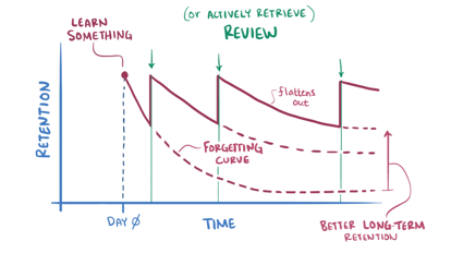 Forgetting curve and spaced-repetition